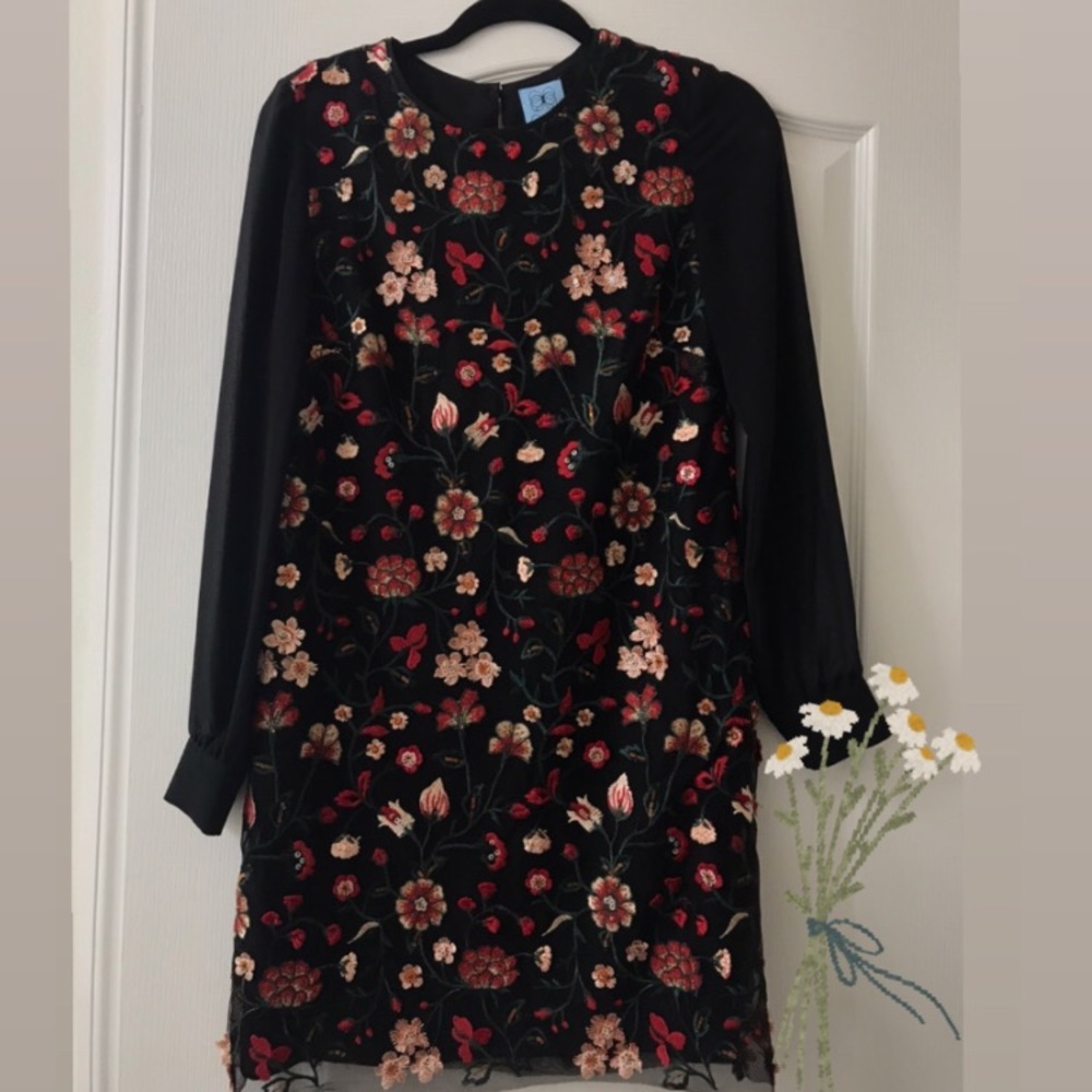 Embroidered Dress 🌹 - Picture 2 of 5